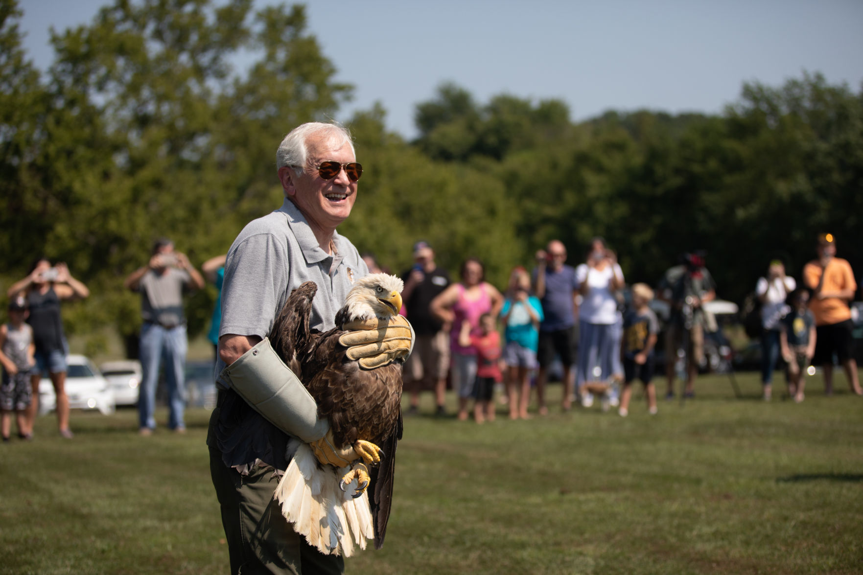 Eagle 8